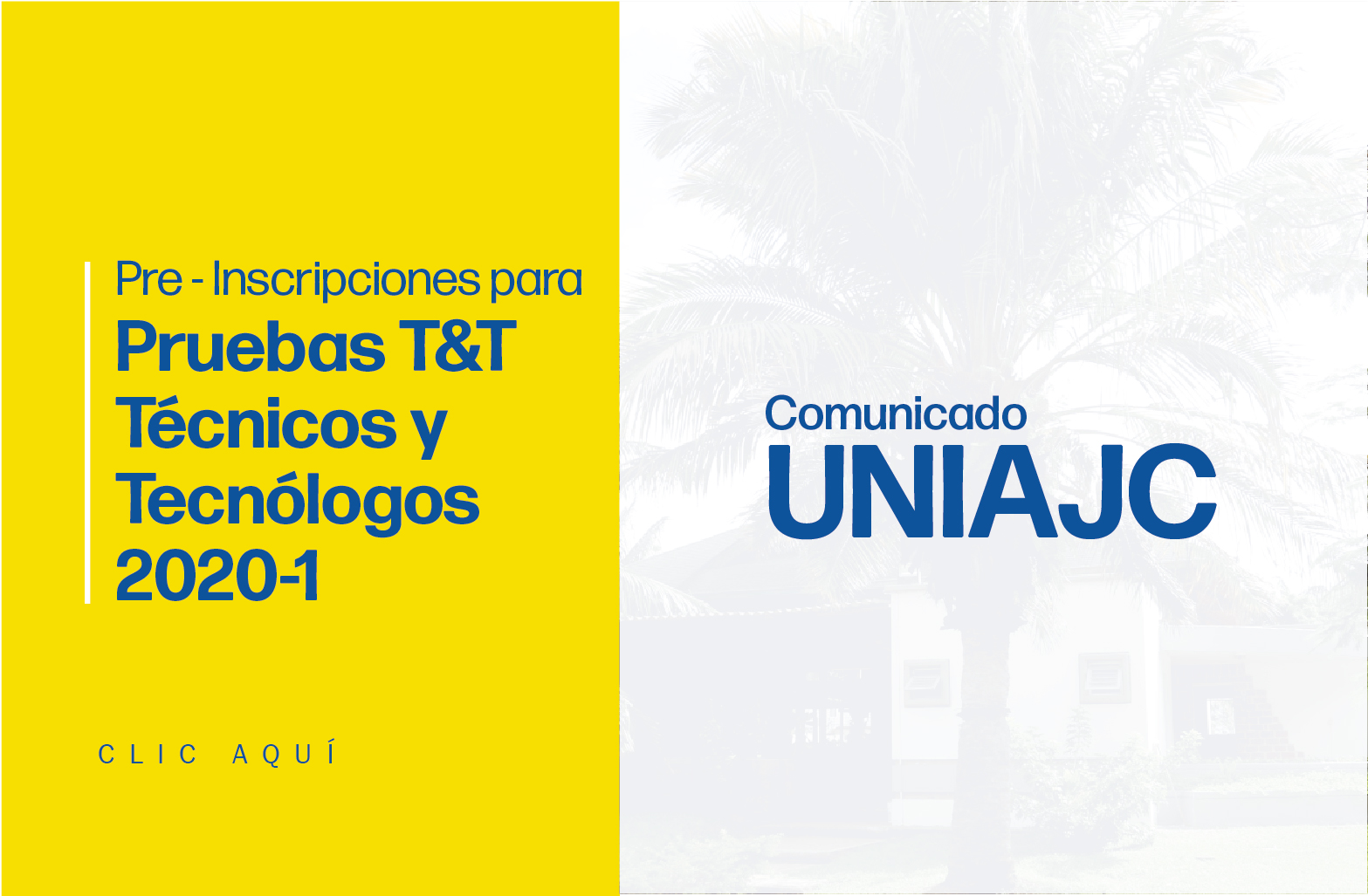 Prueba T&T 2020