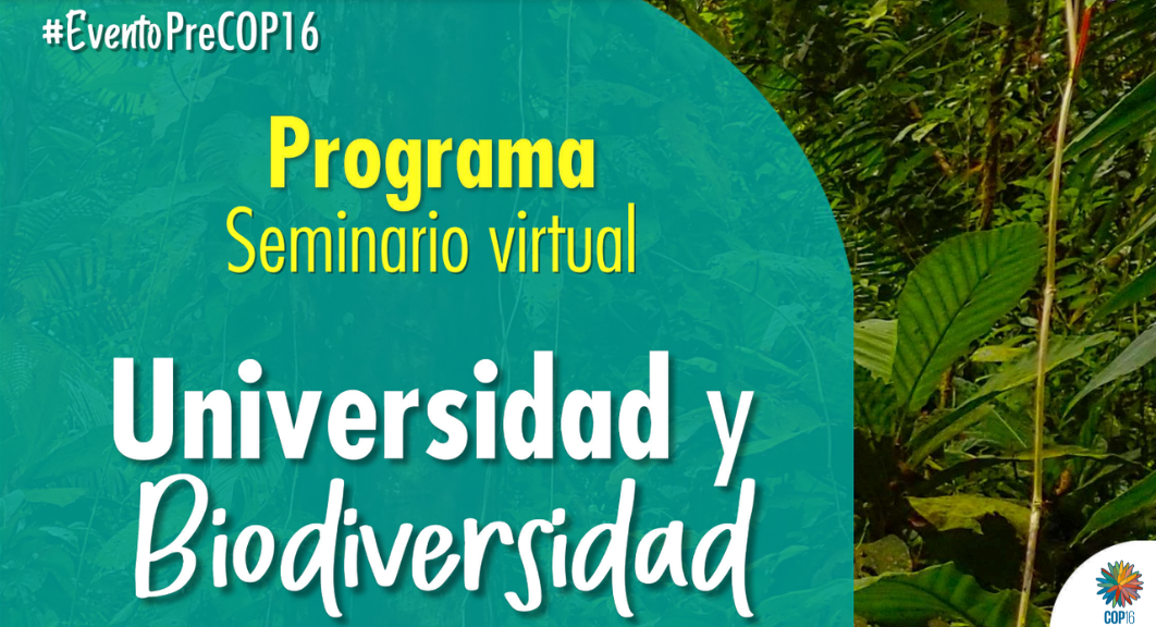 Universidad y Diversidad: Unicamacho presente en evento Pre COP16