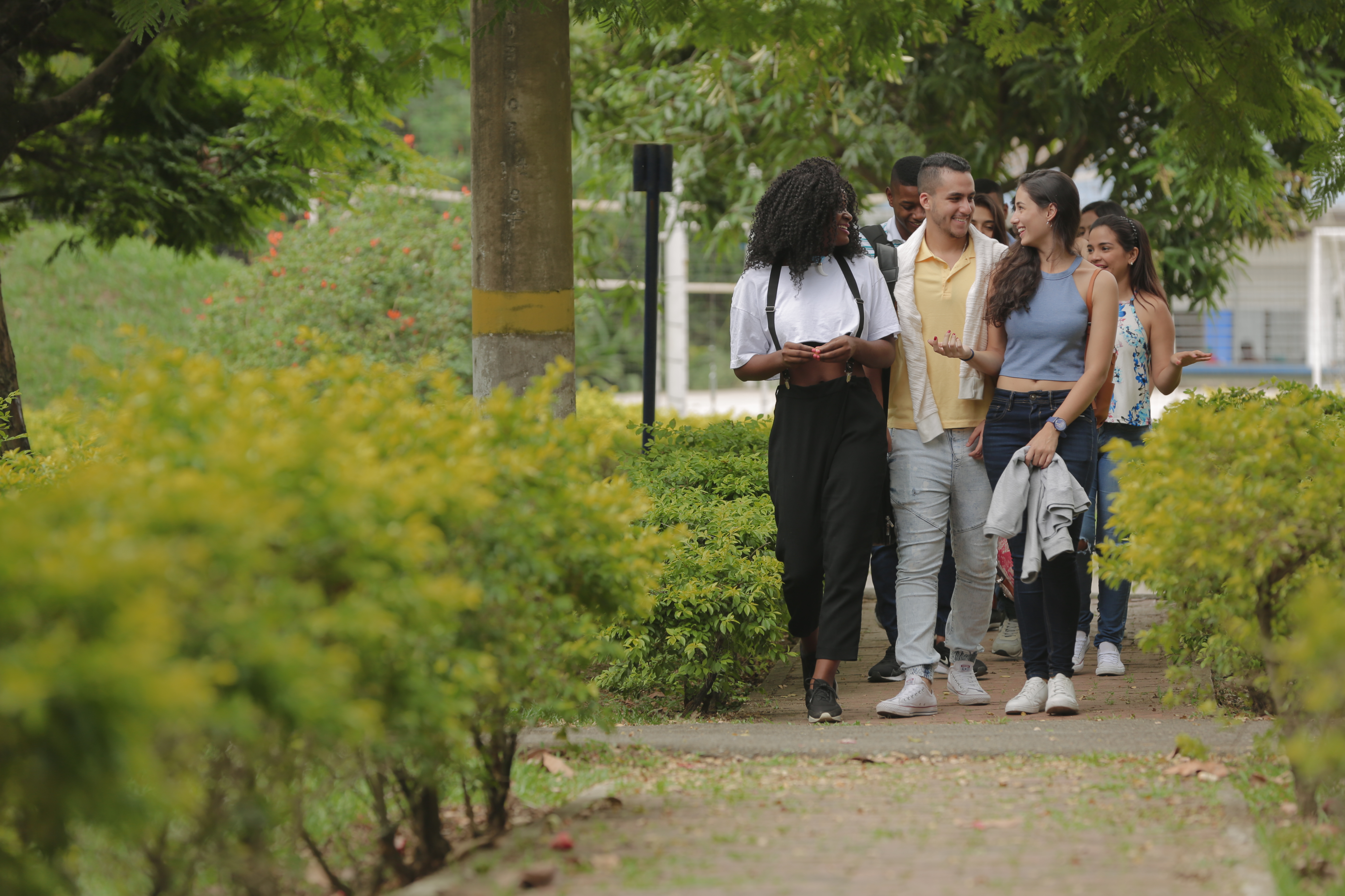 La Especialización en Ciudadanía, Derechos y Gestión de Paz de Unicamacho renueva su registro calificado